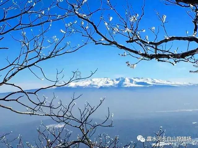 铁路上为什么会有那么多的石子?游戏画面
