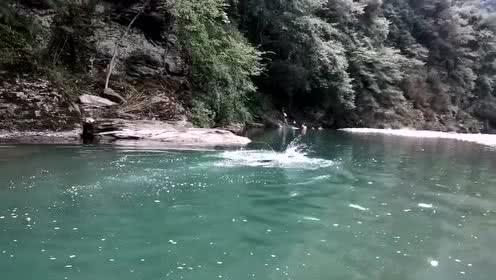 厦门留光青蛇缘起分享：亦舒系列《流金岁月》：揭露的这几个真相你看懂了吗？